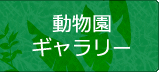 動物園ギャラリー