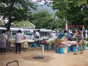 佐古市の様子の写真1