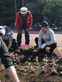 5月18日　土曜日のとくしま まちなか花ロードプロジェクト 第30回花植え会の写真