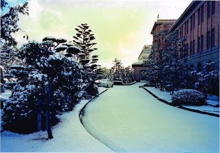 徳島県庁旧庁舎北側景観の写真